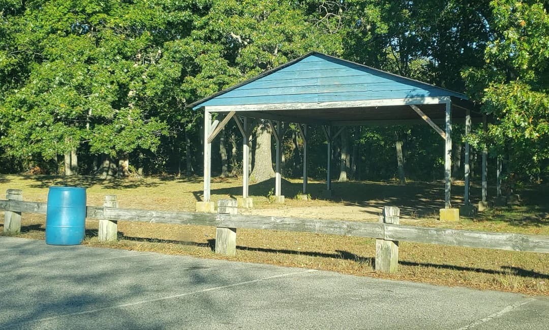 Warwick City Park picnic area