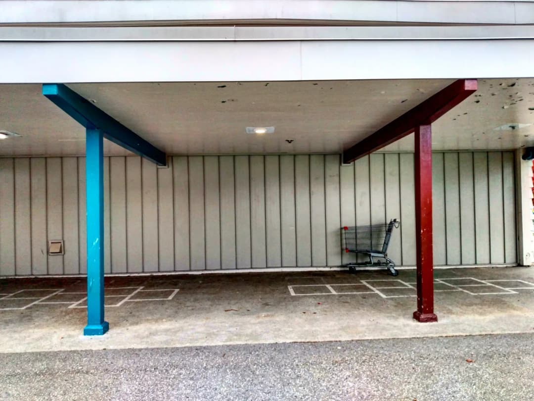 Good old Lone Shopping Cart!